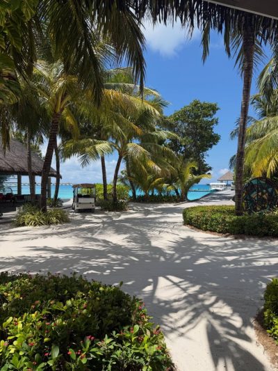 Finolhu, the Maldives в апреле — фото погоды (2026-04-11)