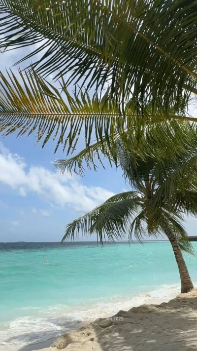Vilamendhoo Island Resort & Spa — фото погоды в июне (2026-06-29)