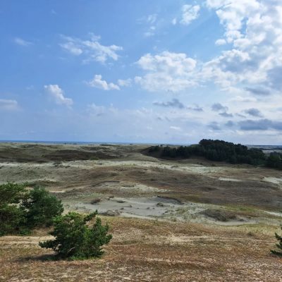 Куршкая Коса, Калининград в августе — фото погоды (2025-08-17)