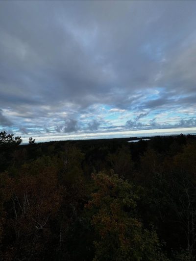 Танцующий лес в октябре — фото погоды (2025-10-15)