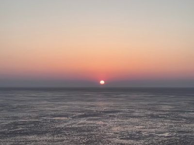 Танцующий лес в марте — фото погоды (2026-03-14)