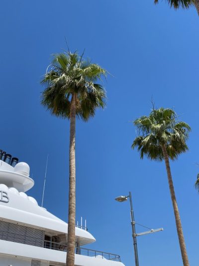 Costa del Sol, Malaga, Spain — фото погоды в мае (2026-05-30)