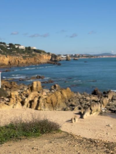 Praia dos Arrifes в декабре — фото погоды (2025-12-24)