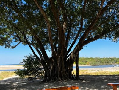 Pangas Beach Club в феврале — фото погоды (2026-02-11)