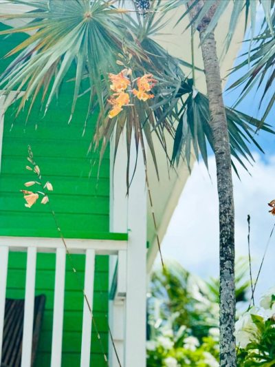 Secret Beach San Pedro La Isla Bonita Belize в июне — фото погоды (2025-06-30)
