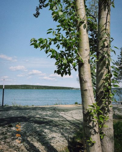 Petrozavodsk City в июне — фото погоды (2025-06-02)