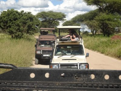 Tarangire National Park, Tanzania в июле — фото погоды (2026-07-01)