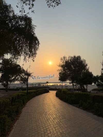 Al Mamzar Beach Park в июле — фото погоды (2026-07-08)