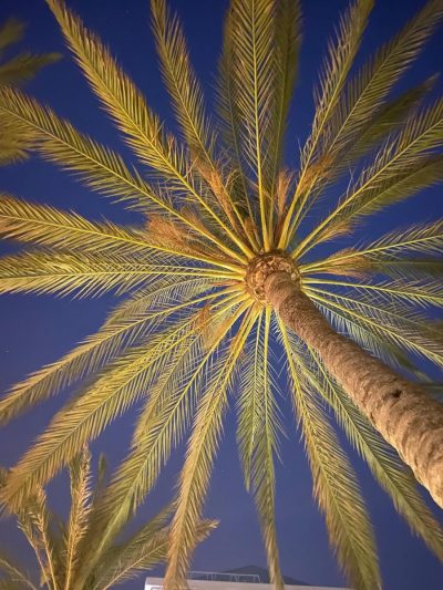 Paseo Maritimo Marbella в октябре — фото погоды (2025-10-13)