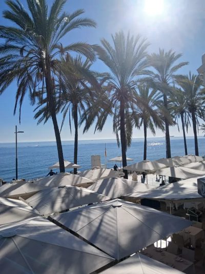 Paseo Maritimo Marbella в феврале — фото погоды (2026-02-24)