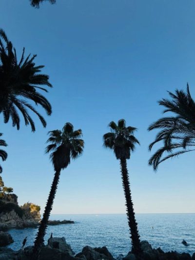 Lloret de Mar . Costa Brava . Catalonia в июле — фото погоды (2026-07-07)
