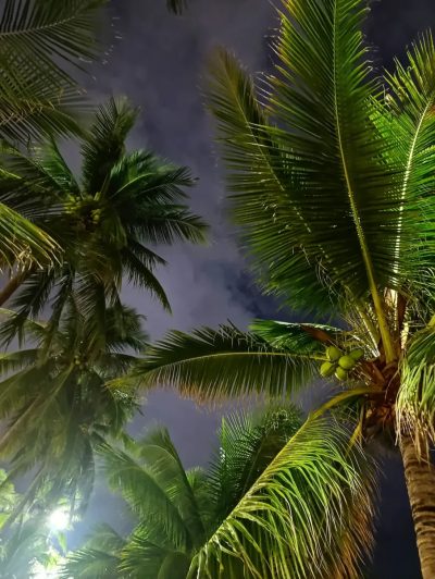 Nha Trang Beach в октябре — фото погоды (2025-10-25)