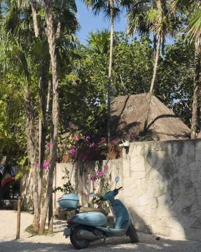 NEST Tulum в июле — фото погоды (2026-07-10)