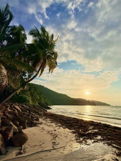 Anse À La Mouche в январе — фото погоды (2026-01-17)