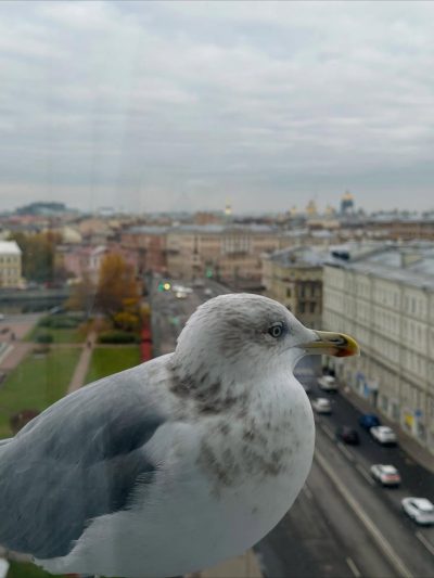 Петропавловская крепость в октябре — фото погоды (2025-10-30)