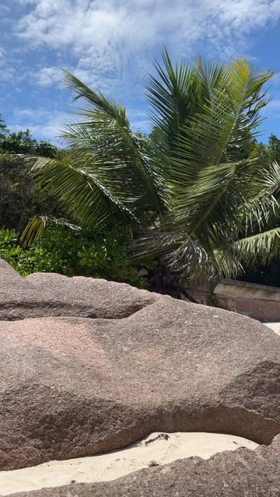 Anse Patates, La Digue, Seychelles в январе — фото погоды (2026-01-24)