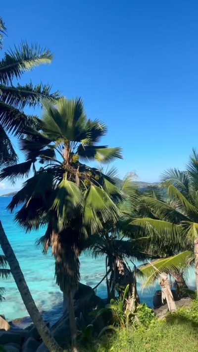 Anse Patates, La Digue, Seychelles в марте — фото погоды (2026-03-24)