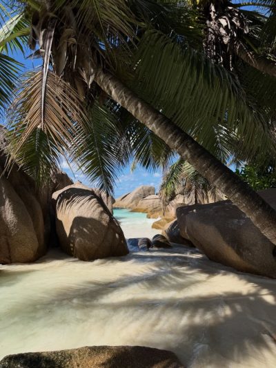 Anse Patates, La Digue, Seychelles в апреле — фото погоды (2026-04-16)