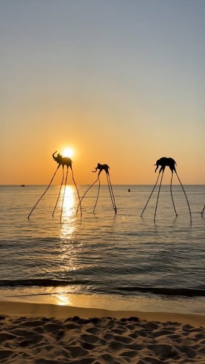 Beach Club в январе — фото погоды (2026-01-24)