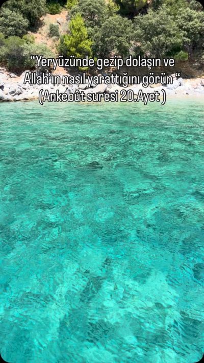 Akvaryum Koyu в июле — фото погоды (2026-07-12)