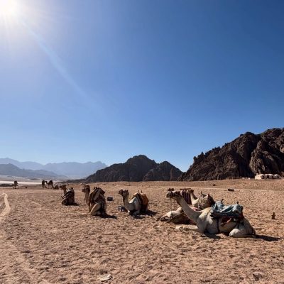 Sinai Desert, Egypt в июле — фото погоды (2026-07-05)