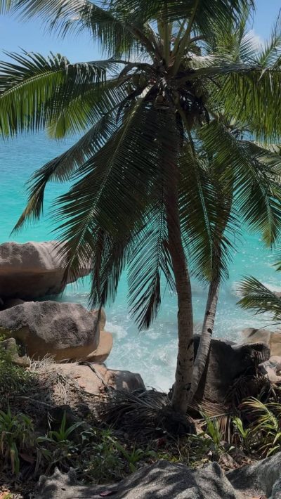 Seychelles - La Digue в марте — фото погоды (2026-03-29)