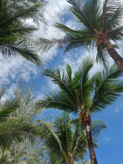 Patong Beach, Phuket Thailand в июне — фото погоды (2026-06-30)