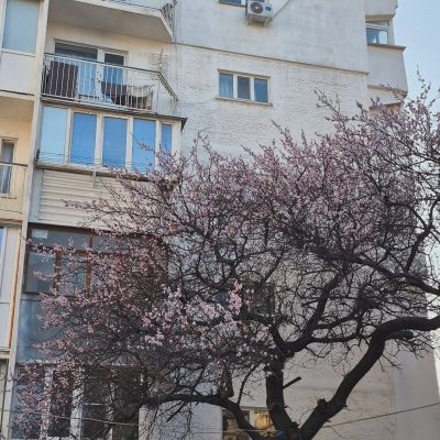 Новороссийск в марте — фото погоды (2026-03-26)