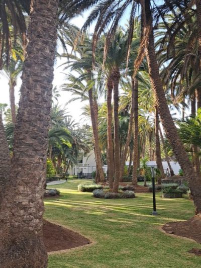 Playa del Faro Maspalomas — фото погоды в марте (2026-03-28)