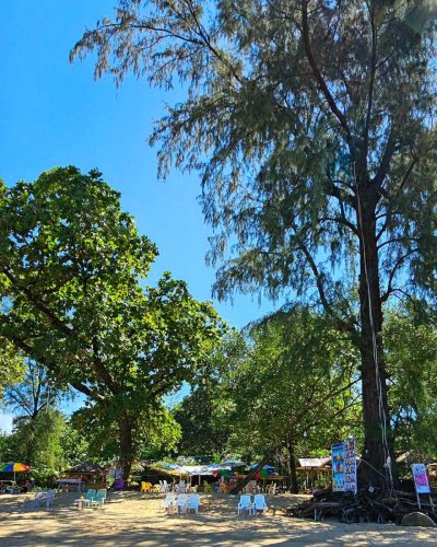 Merlin Beach в ноябре — фото погоды (2024-11-07)