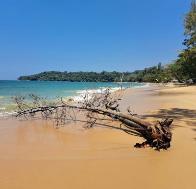 Merlin Beach в феврале — фото погоды (2025-02-14)
