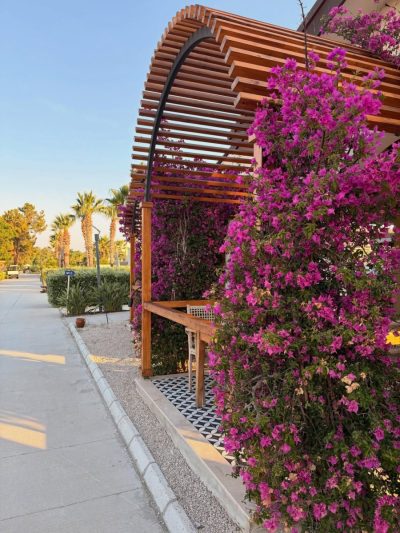 Akra Fethiye The Residence Tui Blue Sensatori — фото погоды в июне (2026-06-26)