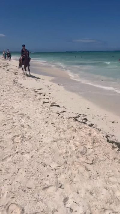 Neptune Pwani Beach Resort & Spa — фото погоды в сентябре (2025-09-19)