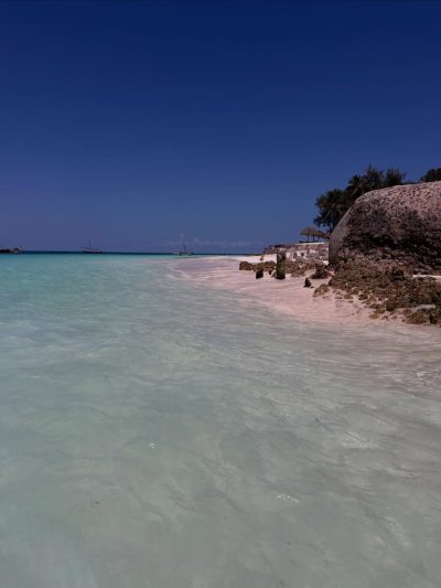 Neptune Pwani Beach Resort & Spa — фото погоды в декабре (2025-12-16)