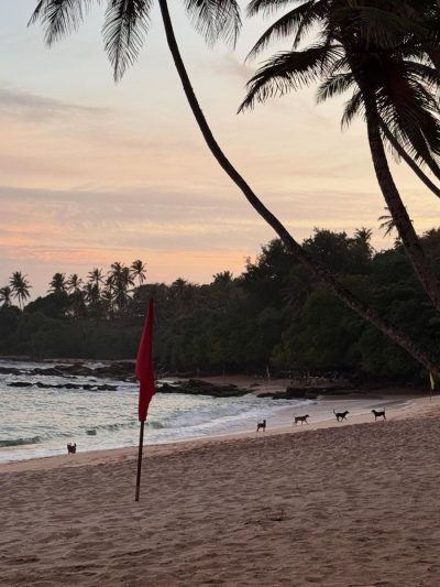 Amanwella Resort Beach — фото погоды в октябре (2025-10-01)