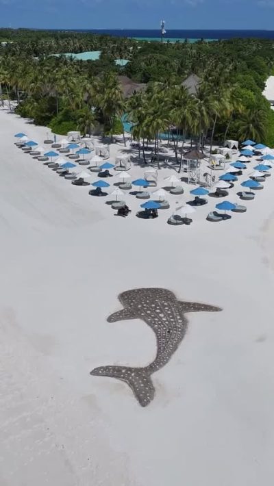 Finolhu Baa Atoll в августе — фото погоды (2025-08-30)