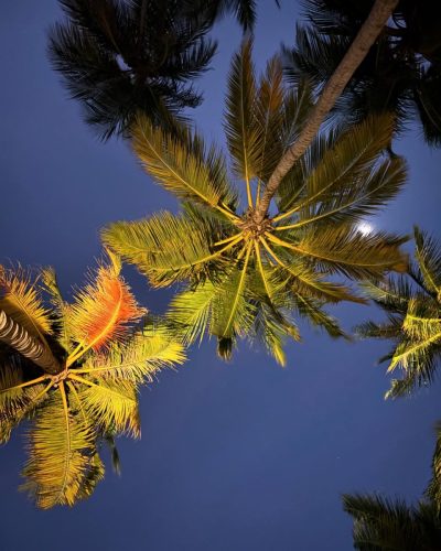 Finolhu Baa Atoll в феврале — фото погоды (2026-02-26)
