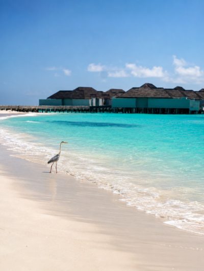 Finolhu Baa Atoll в июне — фото погоды (2026-06-29)