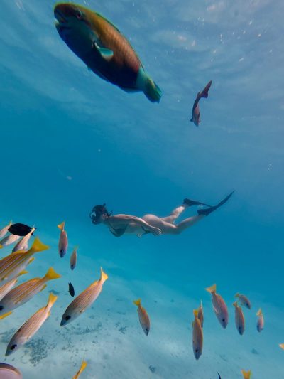 Rasdhoo Island, Maldives. в июле — фото погоды (2026-07-14)
