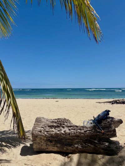Playa Juan Dolio Republica Dominicana в апреле — фото погоды (2026-04-23)