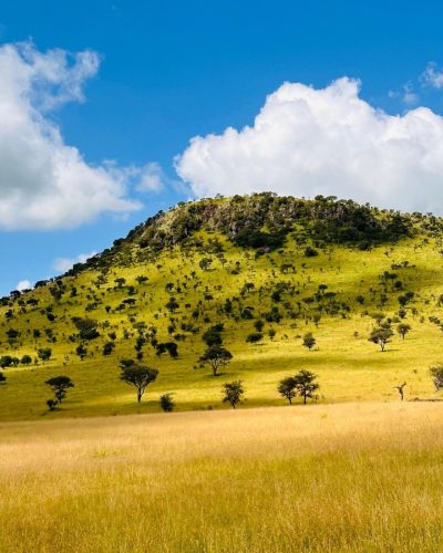Ang'ata Serengeti в феврале — фото погоды (2024-02-04)