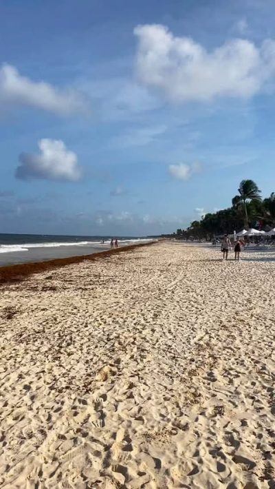 Taboo Tulum в январе — фото погоды (2026-01-30)