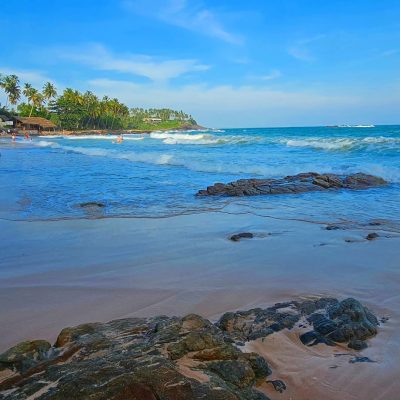 Palm Paradise Cabanas & Villas в январе — фото погоды (2025-01-17)