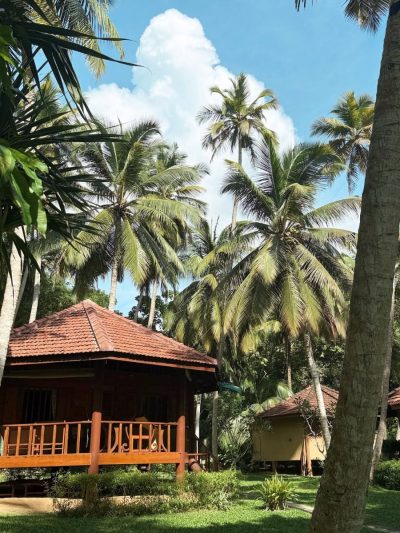 Palm Paradise Cabanas & Villas в феврале — фото погоды (2026-02-17)