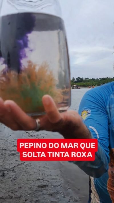 Pontal Do Maracaipe в феврале — фото погоды (2026-02-12)