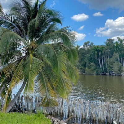 Laguna del Tesoro в апреле — фото погоды (2024-04-24)