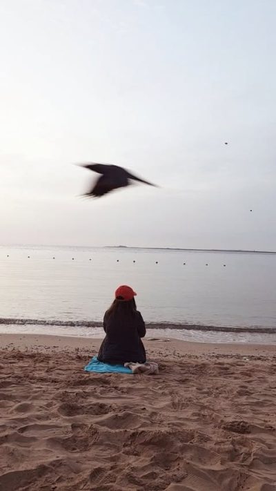 Red Sea, Egypt, Safaga в марте — фото погоды (2026-03-30)