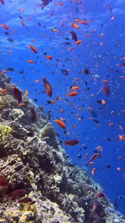 Red Sea, Egypt, Safaga в июне — фото погоды (2026-06-20)
