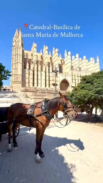 Catedral -Basílica De Santa Maria De Palma De Mallorca в мае — фото погоды (2026-05-30)