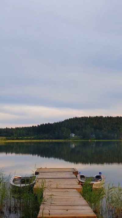 Мейери в июле — фото погоды (2026-07-13)